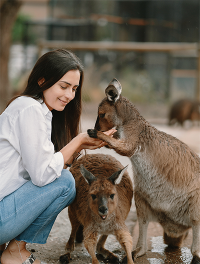 Validade do Visto Austrália - Saiba Mais Validade do Visto Austrália - Saiba Mais